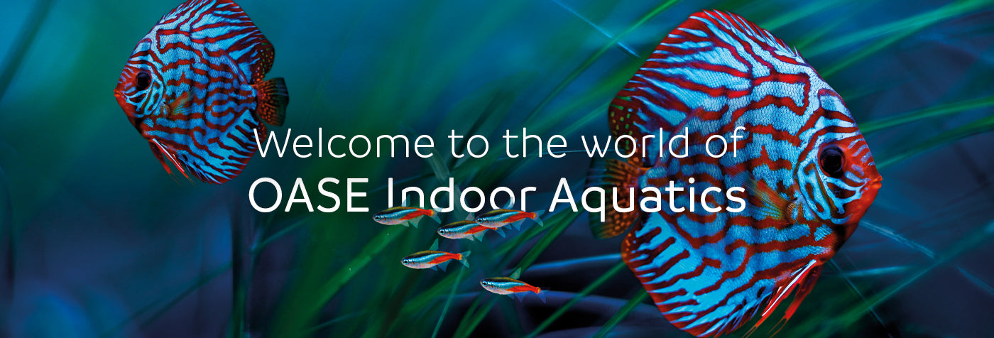 welcome to the world of OASE Indoor Aquatics