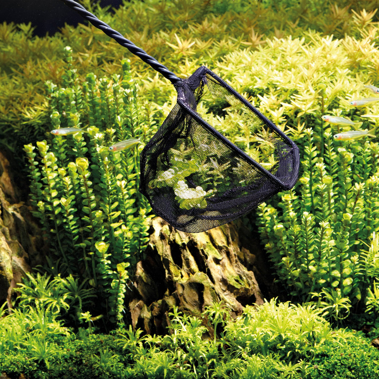 OASE Fish Net 10 cm in use