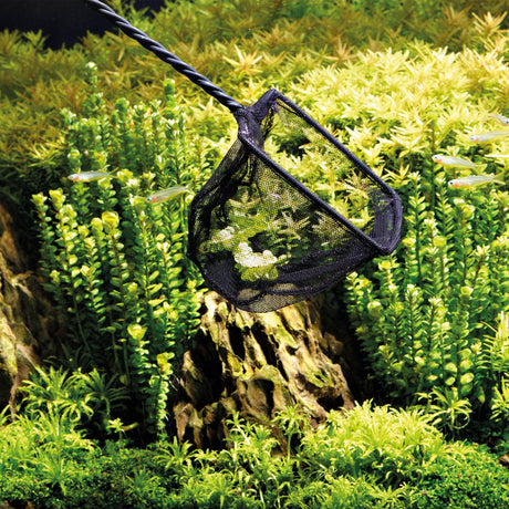 OASE Fish Net 10 cm in use