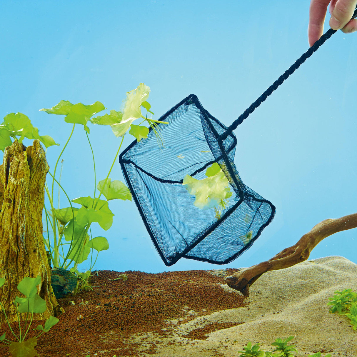 OASE Fish Net 20 cm in use