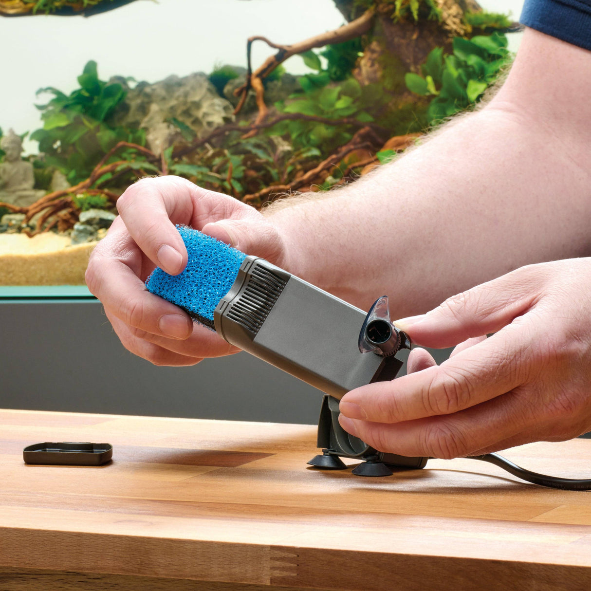 OASE 2 Filter Foam Sets for the BioCompact 25 being replaced