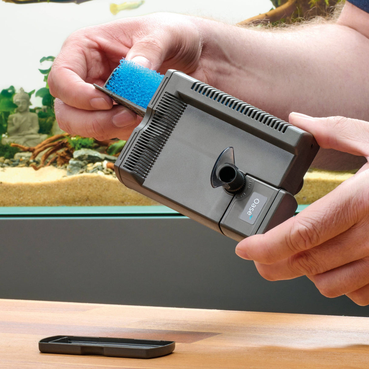 OASE 2 Filter Foam Sets for the BioCompact 50 being replaced