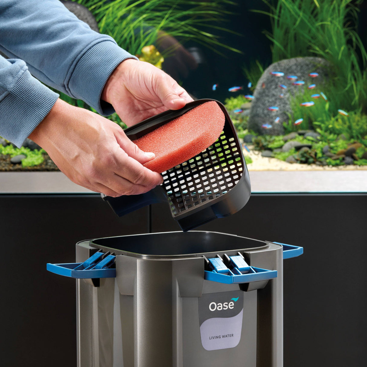 OASE BioMaster 30 ppi orange Filter Foam installation