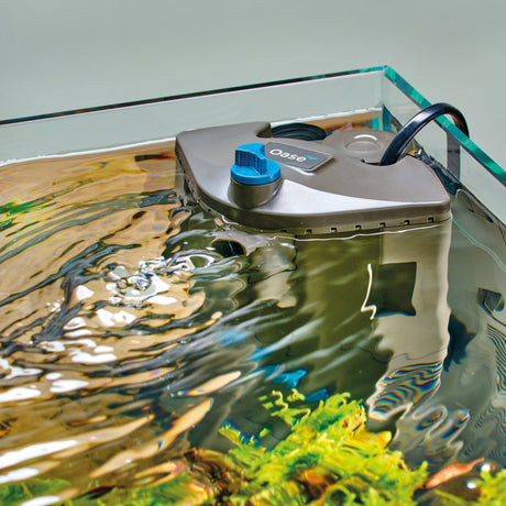 OASE BioPlus thermo 100 water flow setting