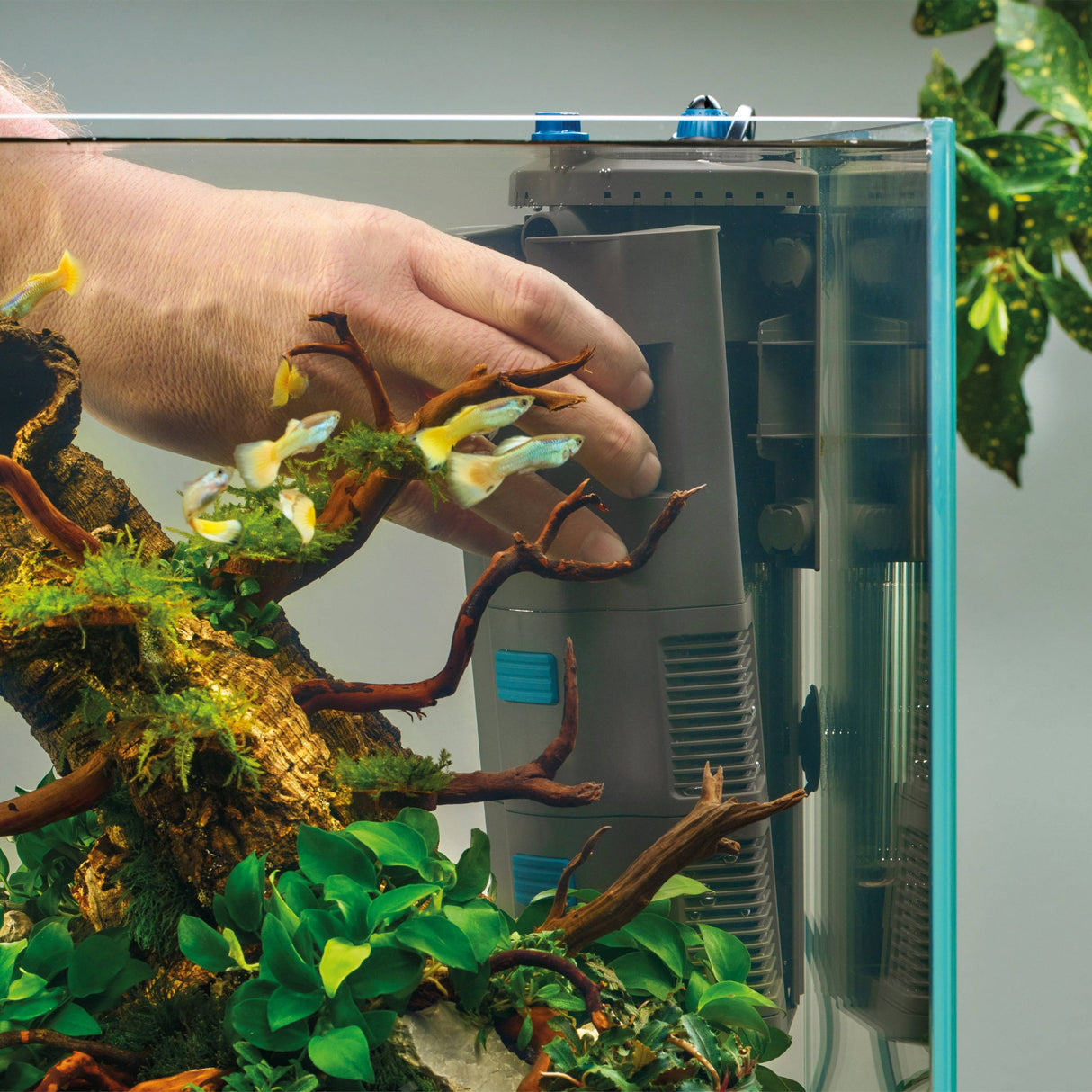 OASE BioPlus Thermo 200 removing filter modules from frame