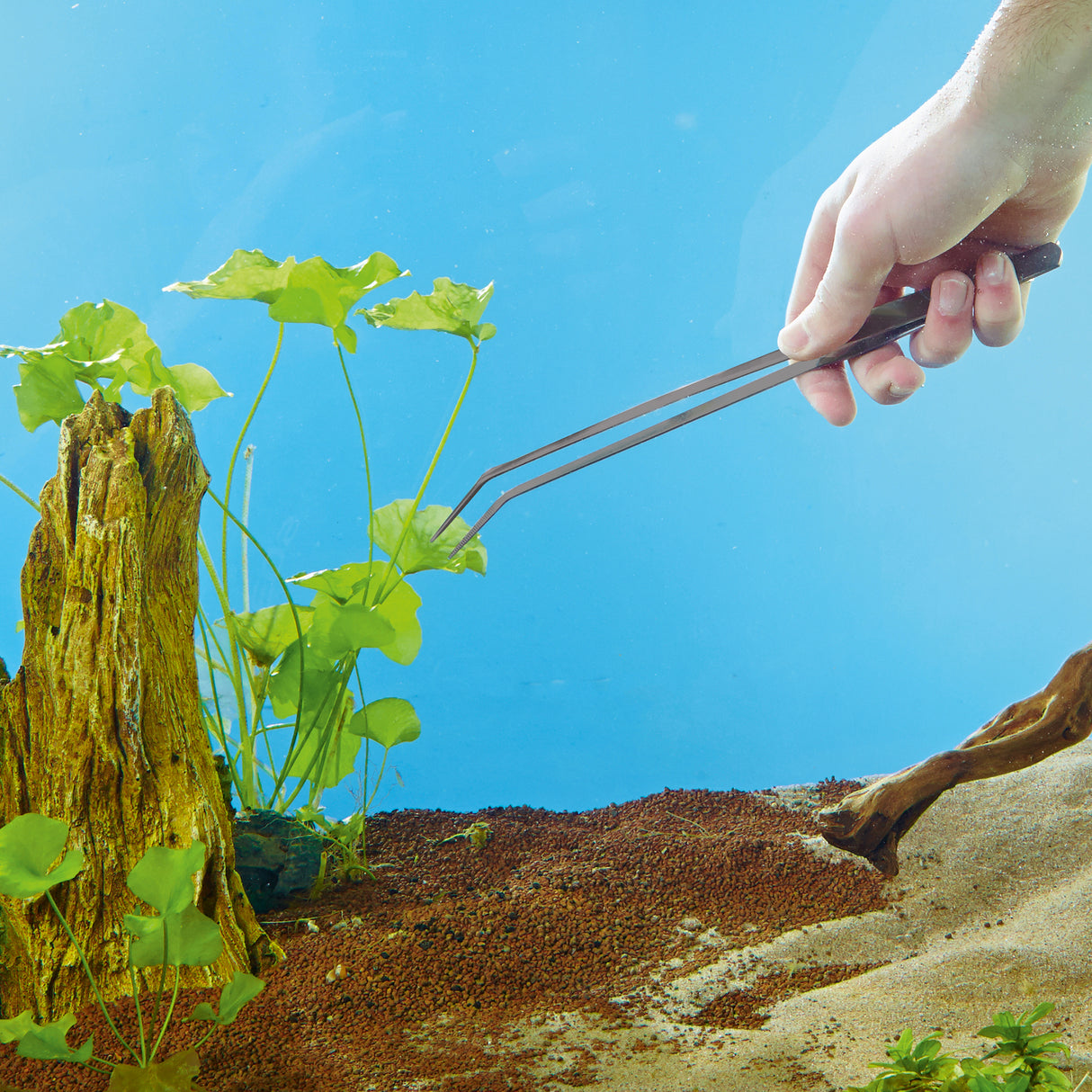 Plant Tweezers in use