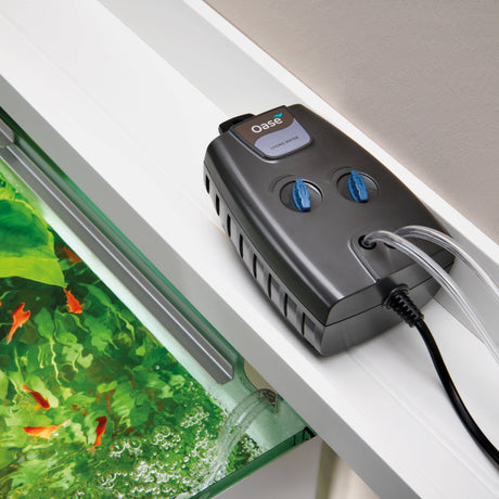 OxyMax 400 on shelf