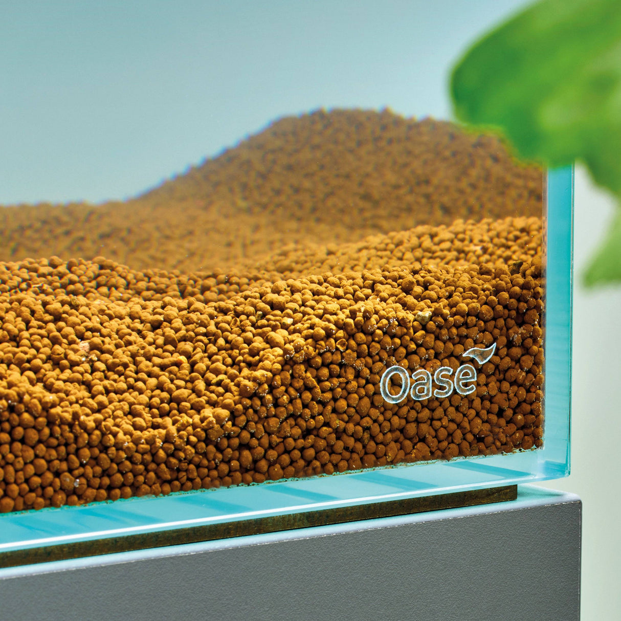 OASE brown soil in aquarium