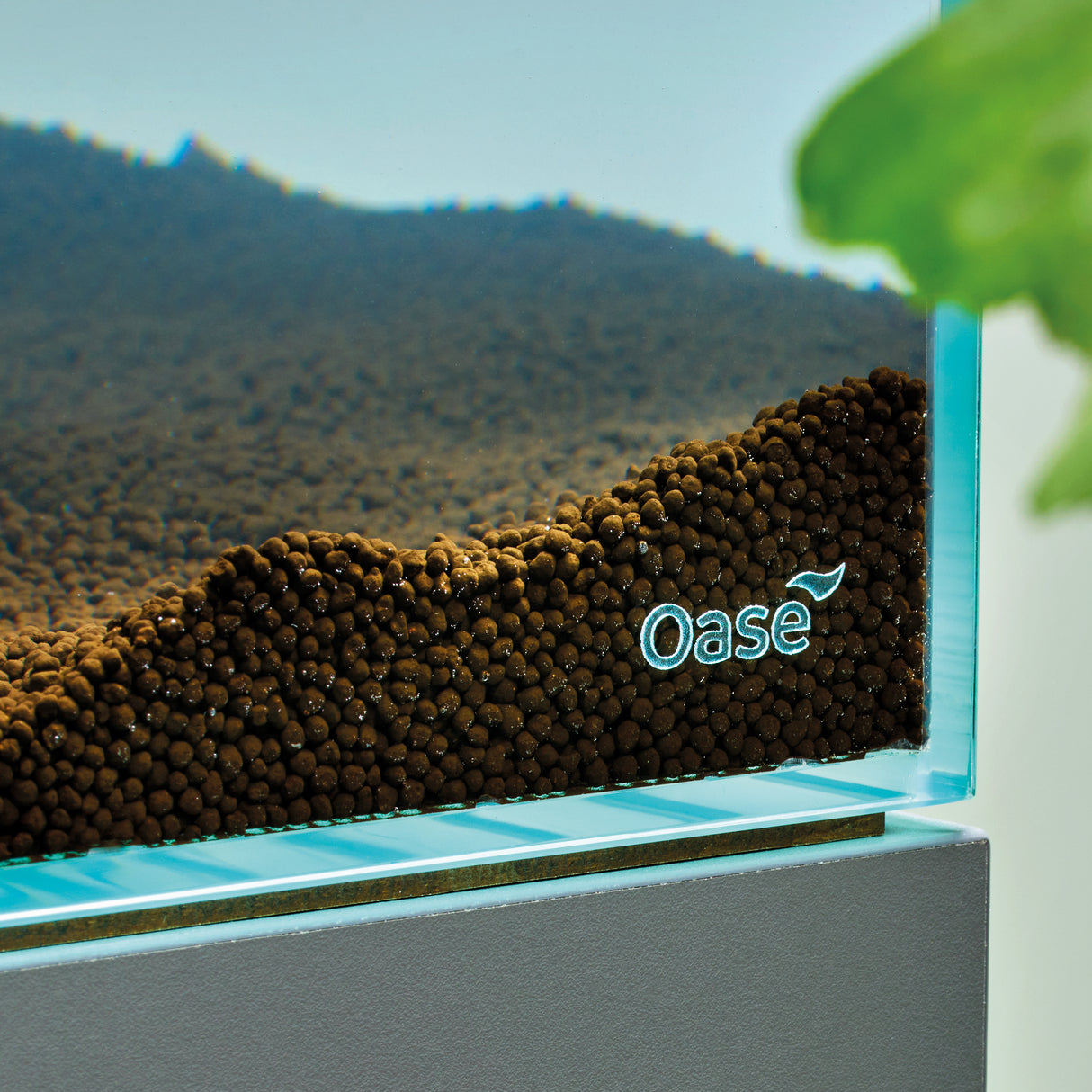OASE black soil in aquarium