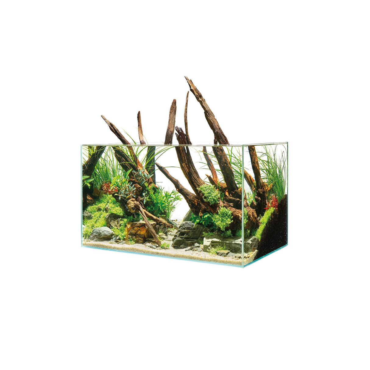 OASE ScaperLine 60 Aquarium