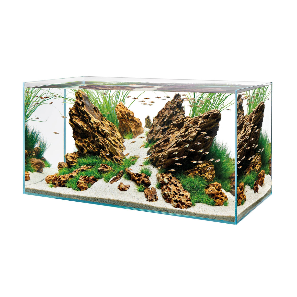 OASE ScaperLine 90 Aquarium