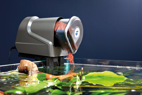 fishguard automatic fish feeder