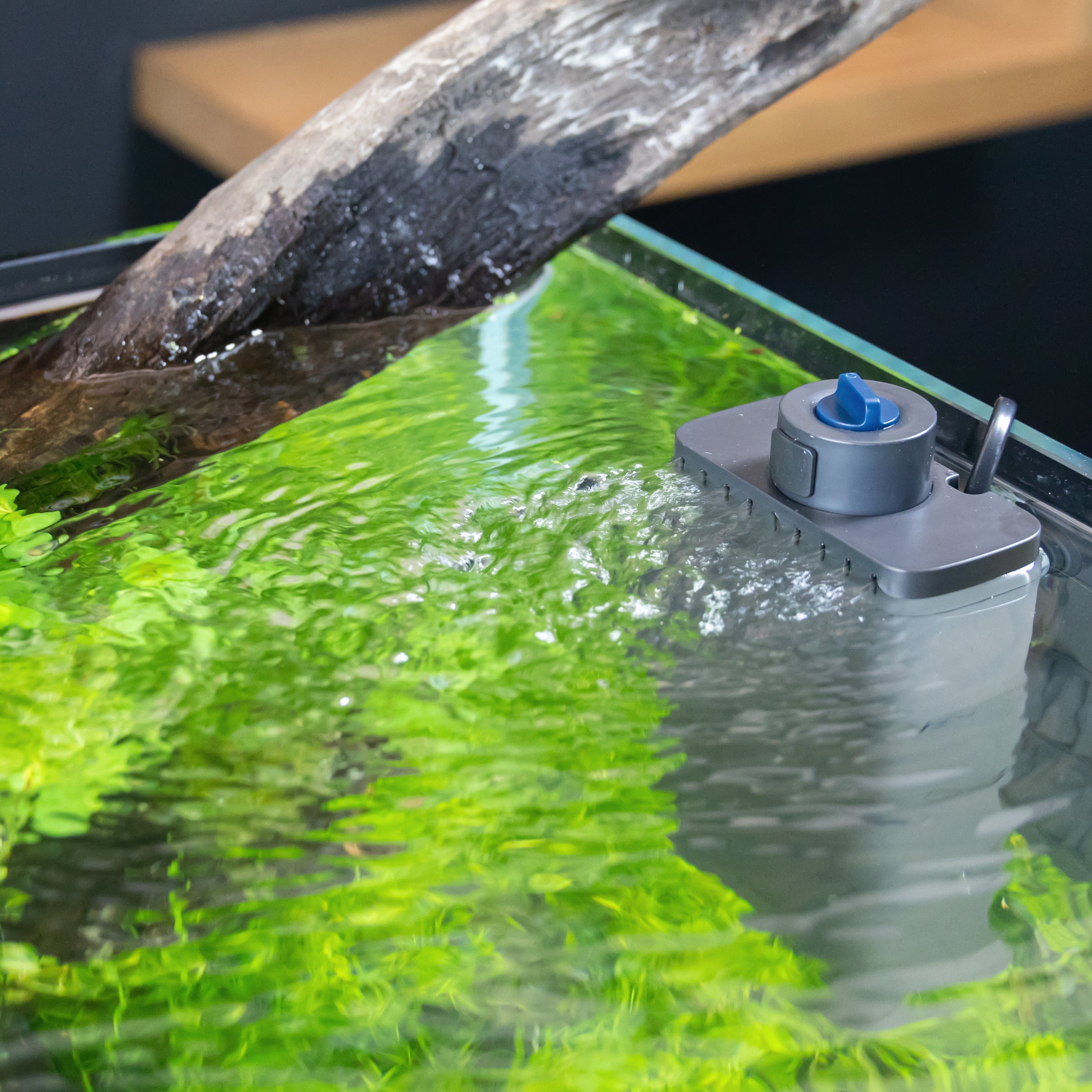 EcoFlow 60 Internal Aquarium Filter | OASE North America – Oase