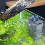 EcoFlow 150