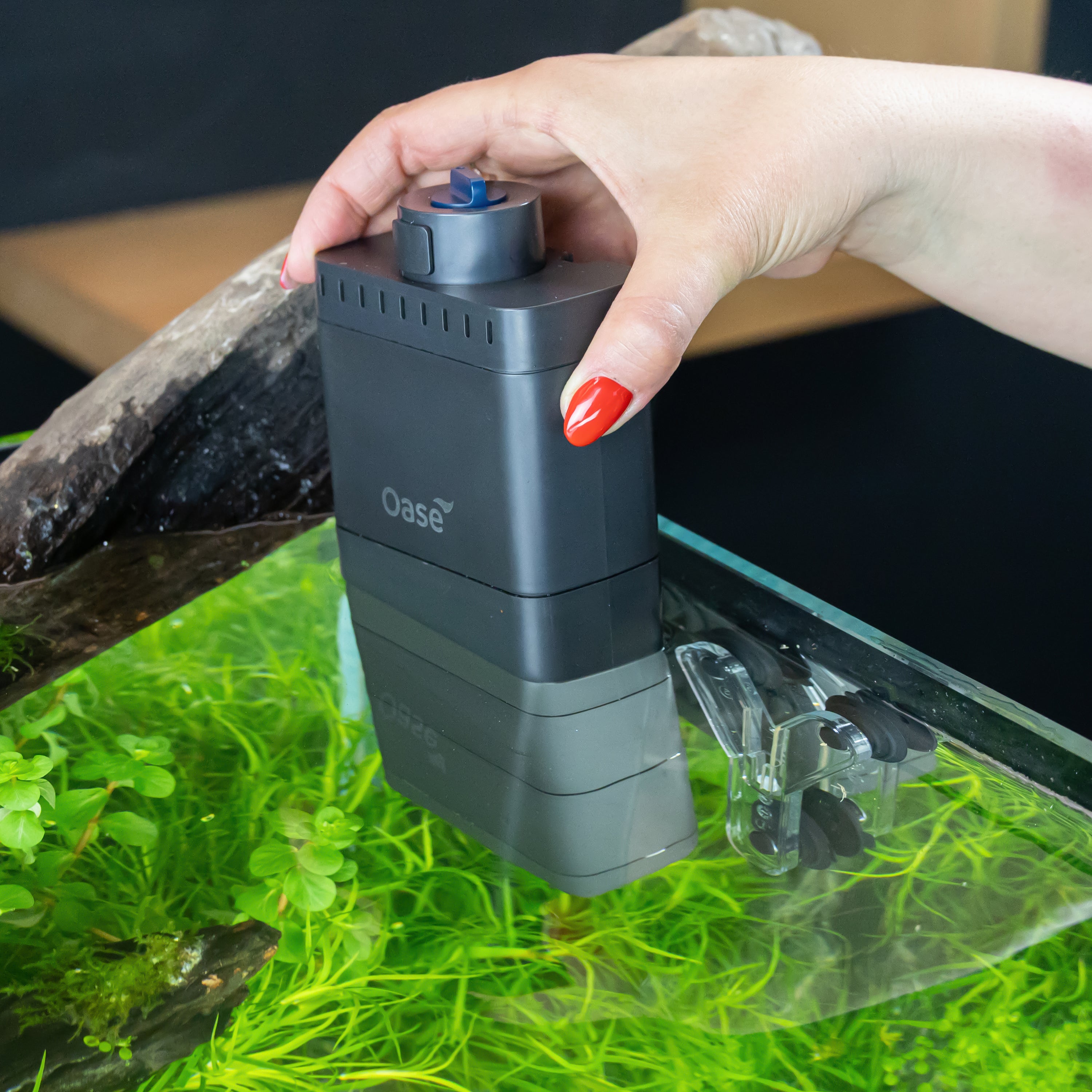 EcoFlow 60 Internal Aquarium Filter | OASE North America – Oase
