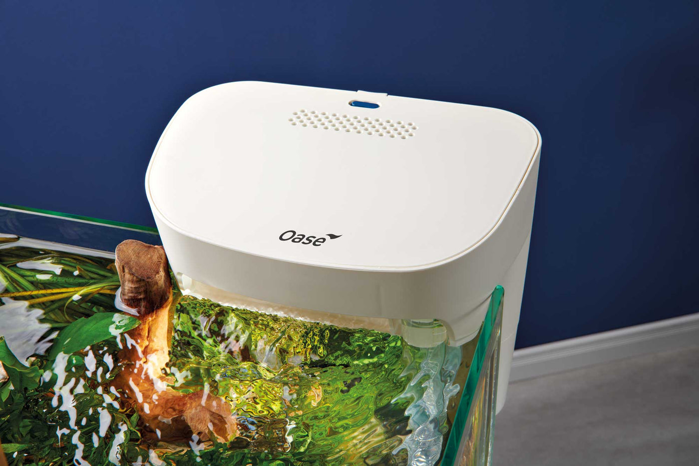 White BioStyle 30 running in an aquarium