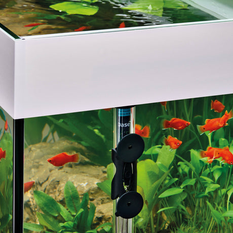 HeatUp in aquarium using holder