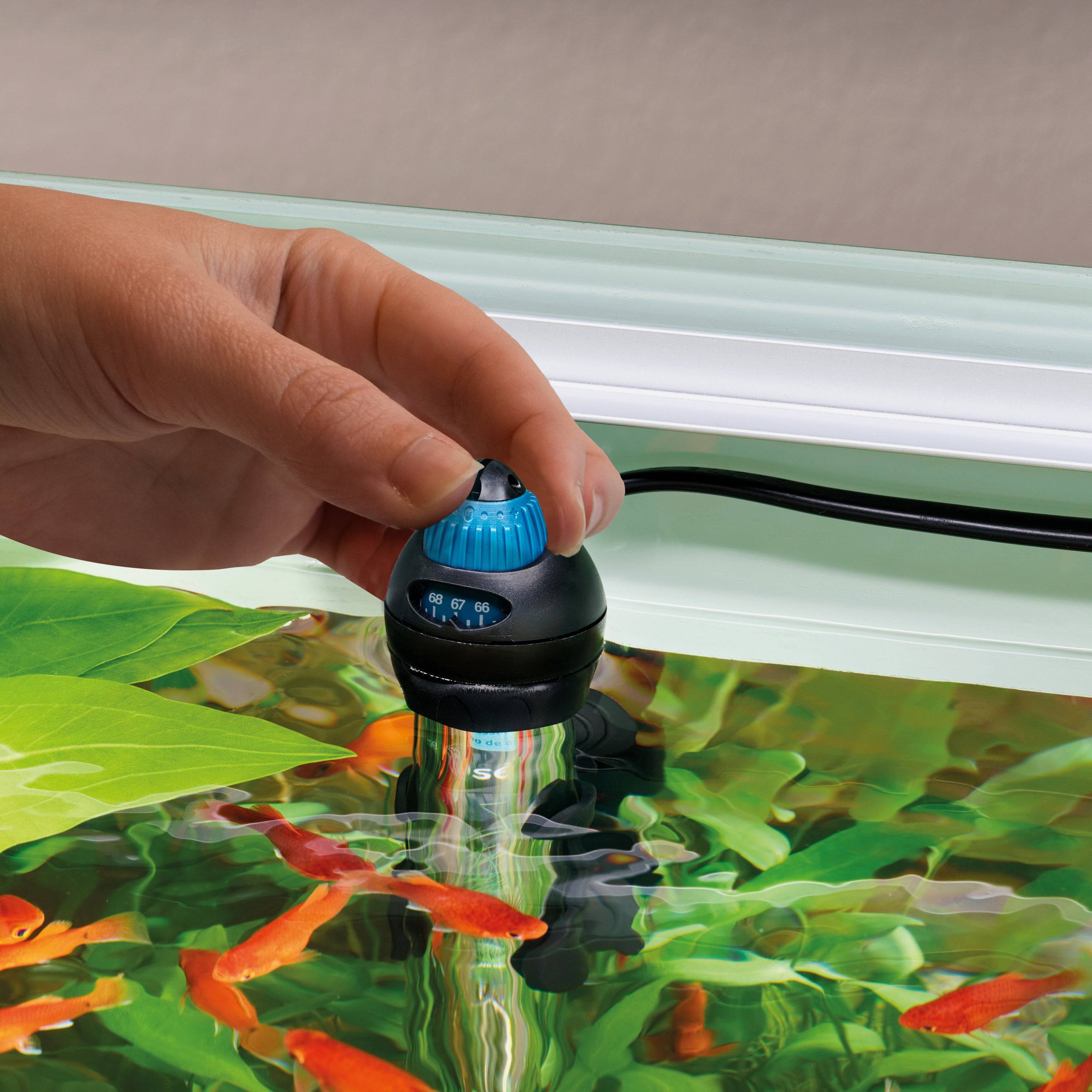 Oase Heatup aquarium verwarming - voor de mooiste aquariumplanten en