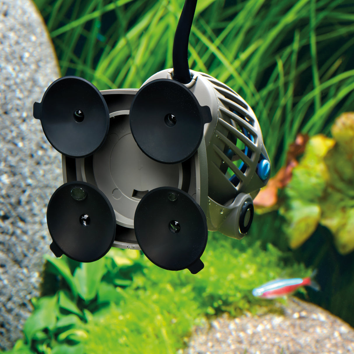 StreamMax Classic suction cups