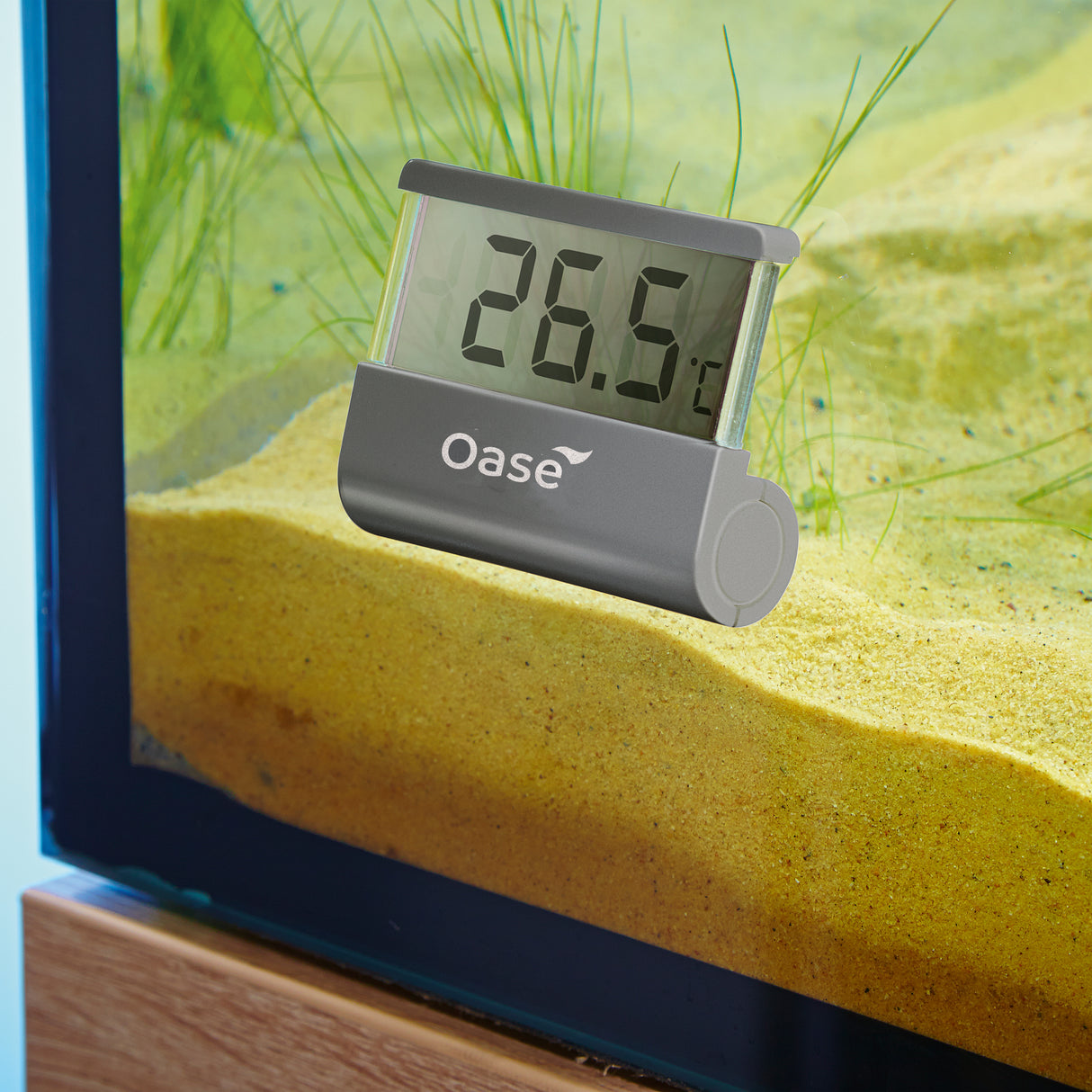OASE Digital Thermometer in use