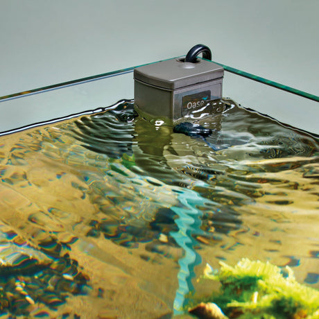 OASE BioCompact 25 in aquarium