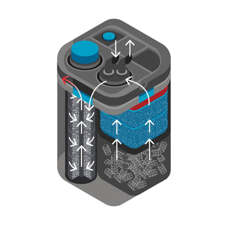 OASE BioMaster 250 filtration pathway