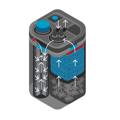 OASE BioMaster Thermo 350 filtration pathway