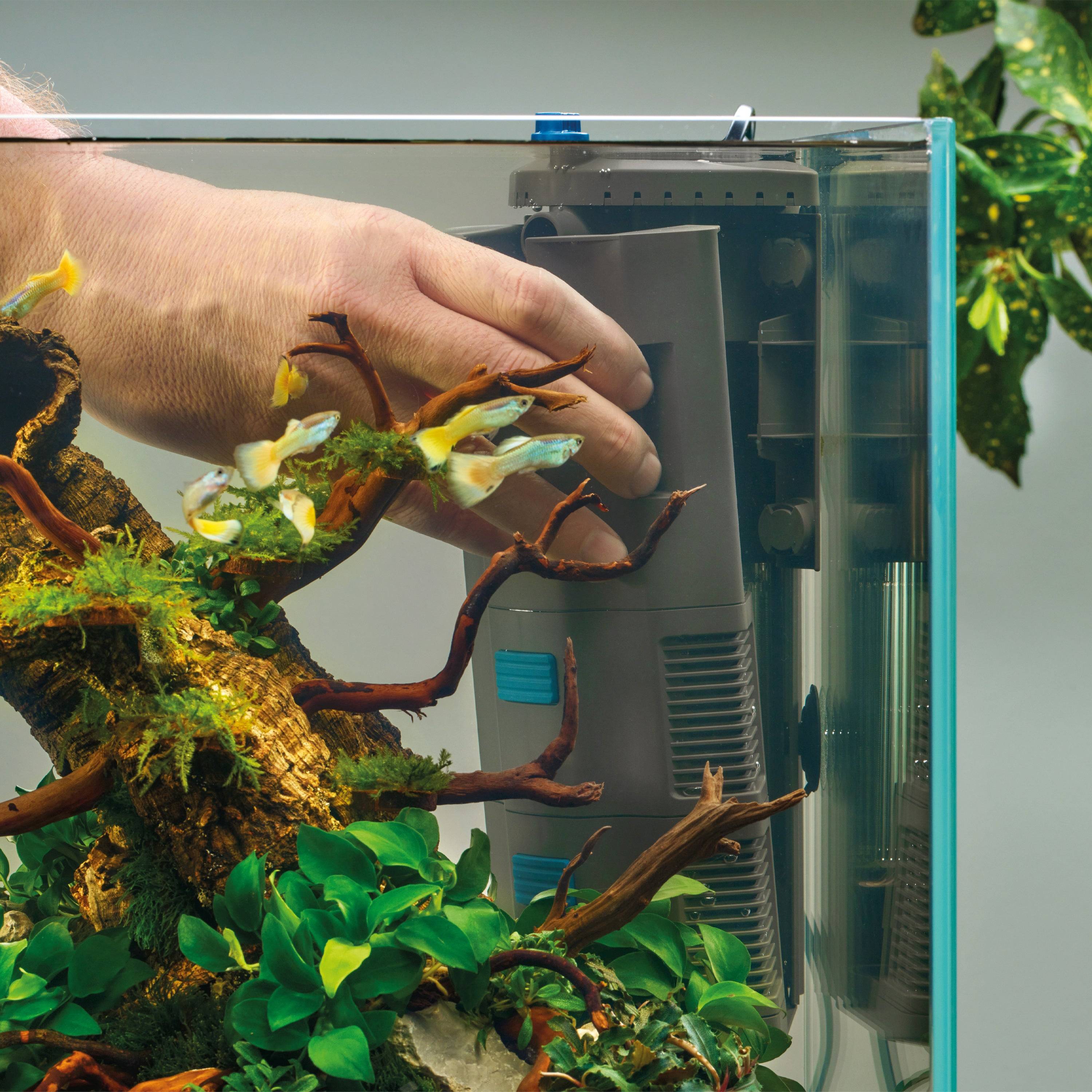 BioPlus 100 Internal Aquarium Filter | OASE North America – Oase