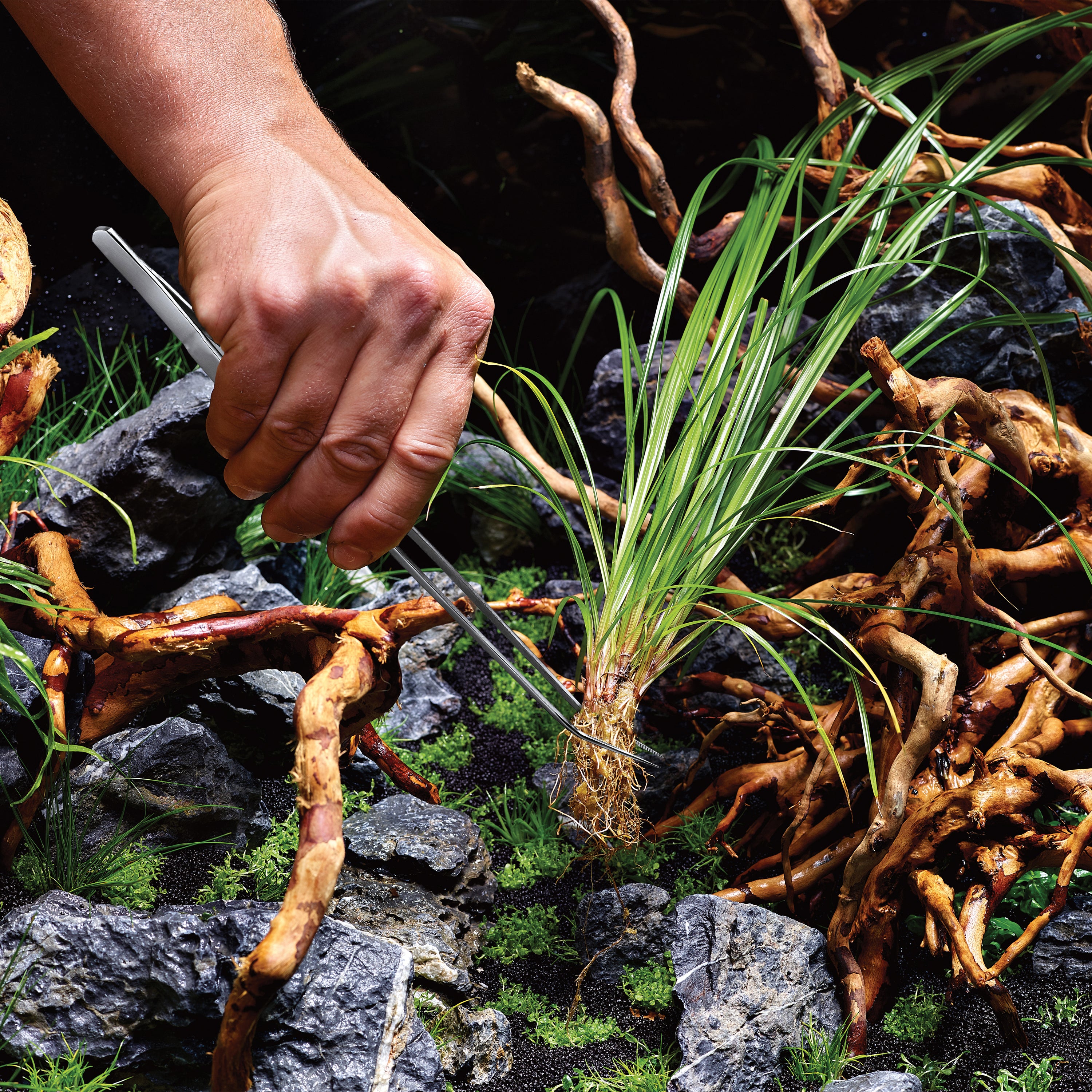 Aquarium Tweezers for Aquatic Plants | OASE North America – Oase