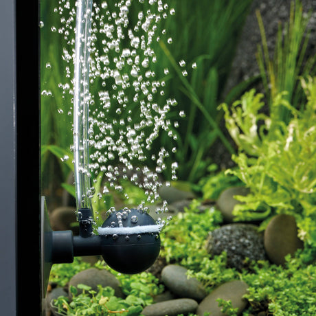 OASE OxyMax 100 diffuser in an aquarium producing bubbles