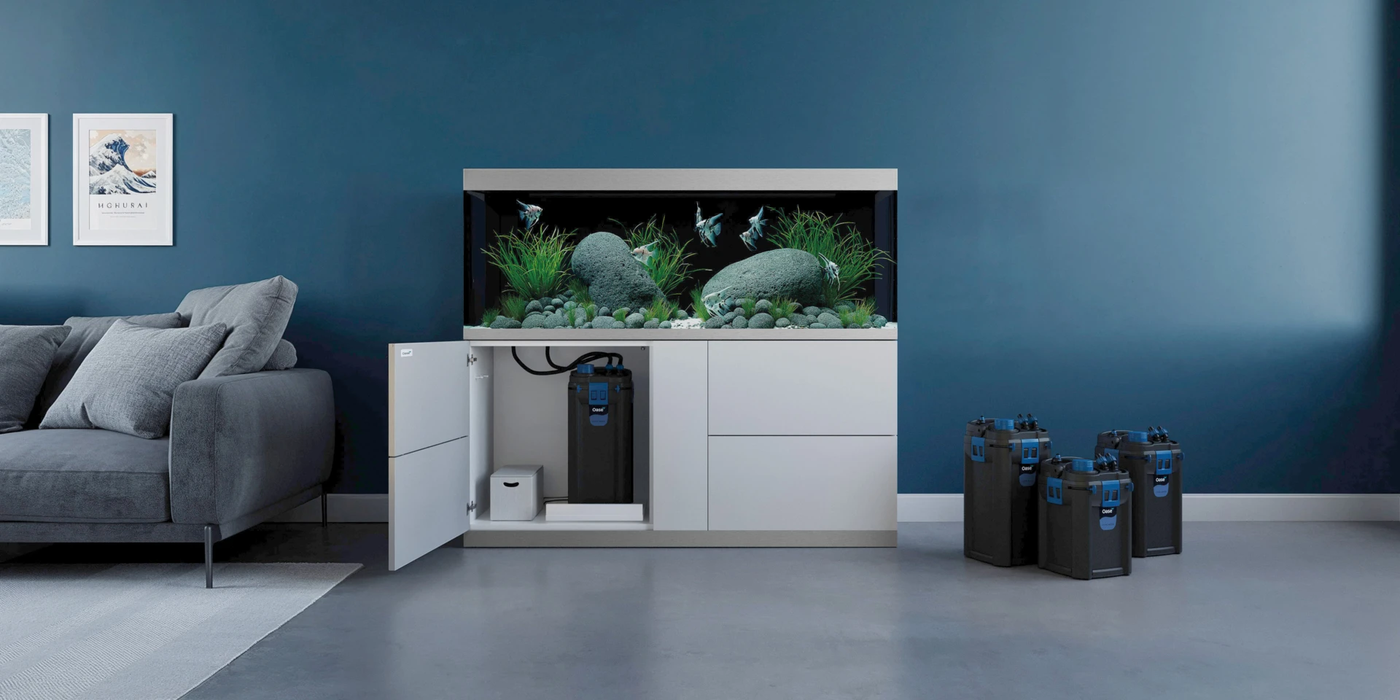 BioMaster 2 Filter Family and Aquarium