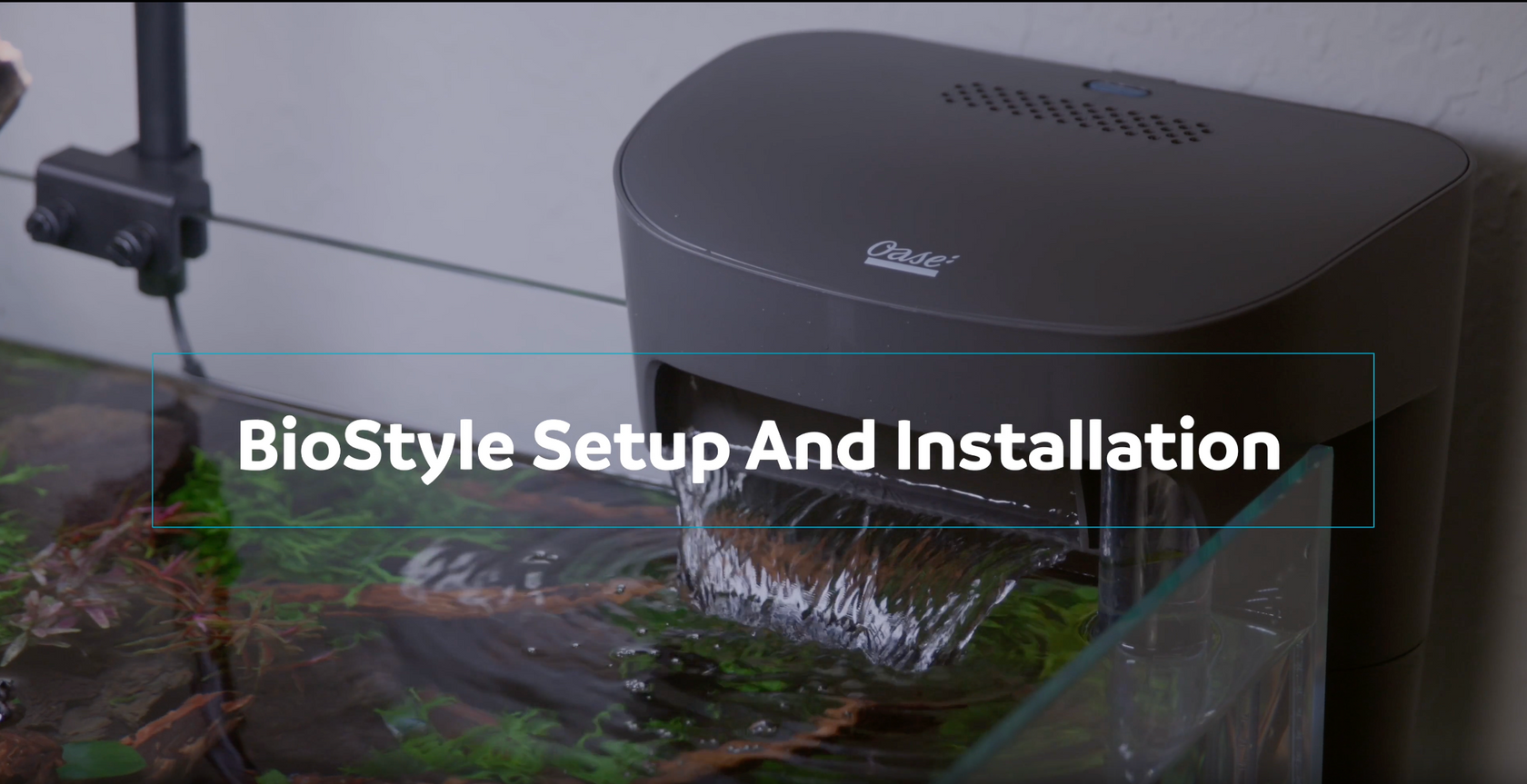 Cover image for BioStyle Setup and Installation video