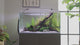 CrystalSkim product features video