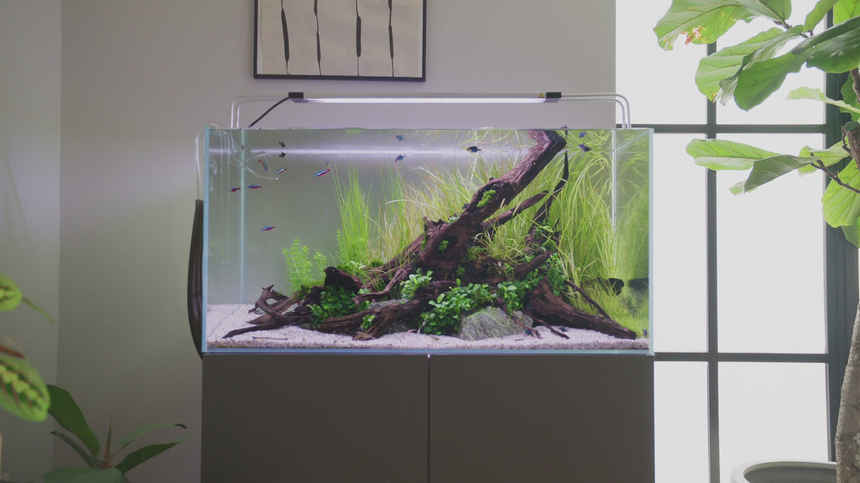 ClearTronic product features video
