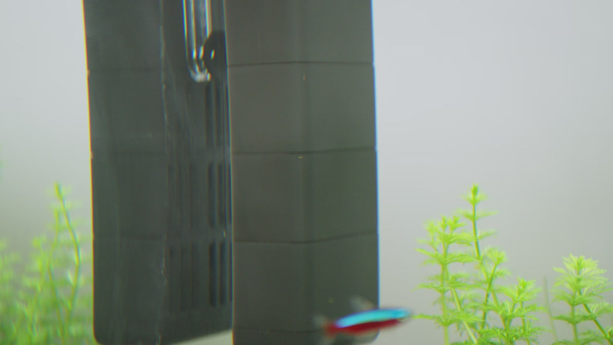 EcoFlow product features video