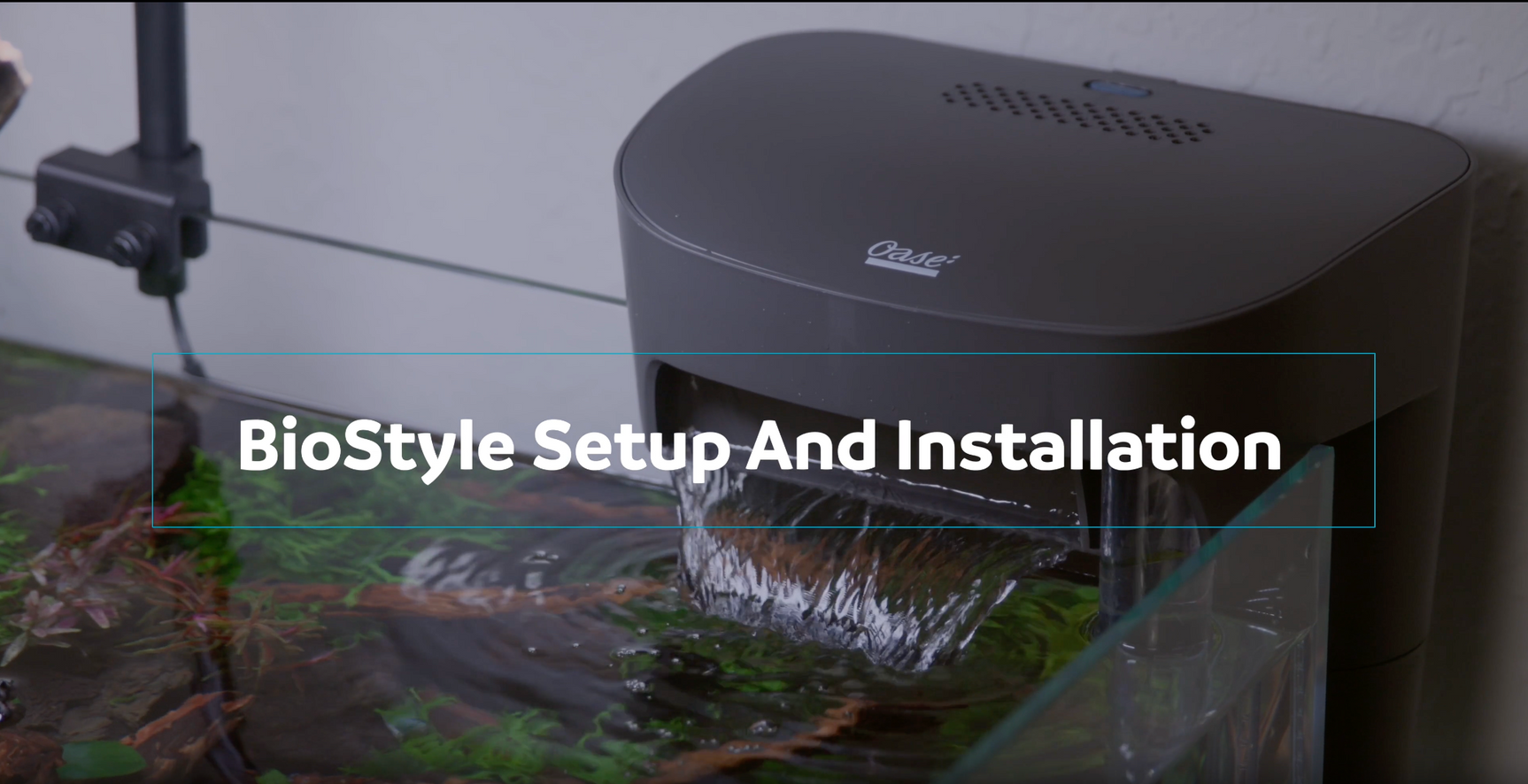 BioStyle Setup and Installation video