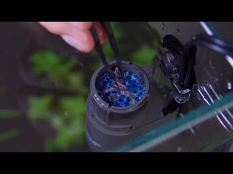 CrystalSkim 350 Aquarium Skimmer | OASE North America – Oase North