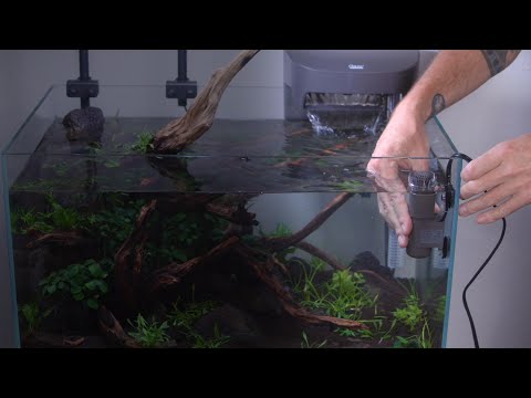 CrystalSkim 350 Aquarium Skimmer | OASE North America – Oase North
