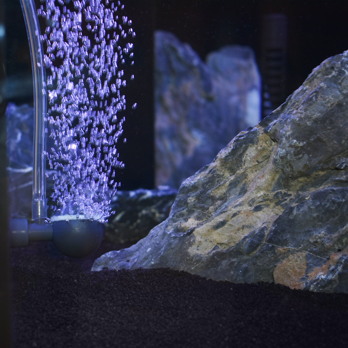 OASE OxyMax 100 diffuser in an aquarium producing bubbles